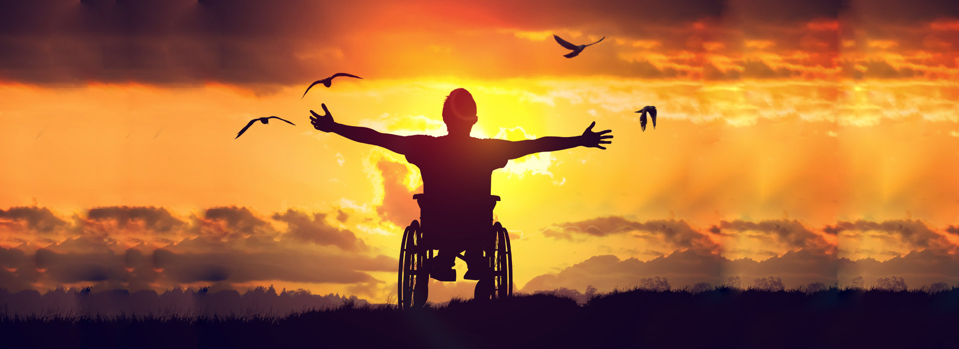 Person on a wheelchair emjoying sunset.
